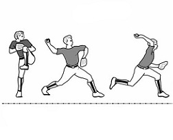 Muscles Involved During the Five Phases of Pitching During Baseball ...